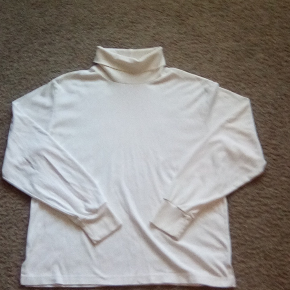 Jennifer Moore Regular Long sleeves Turtle Neck Top size L
